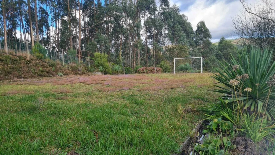 Moradia T4 para Venda em Ossela Foto 22