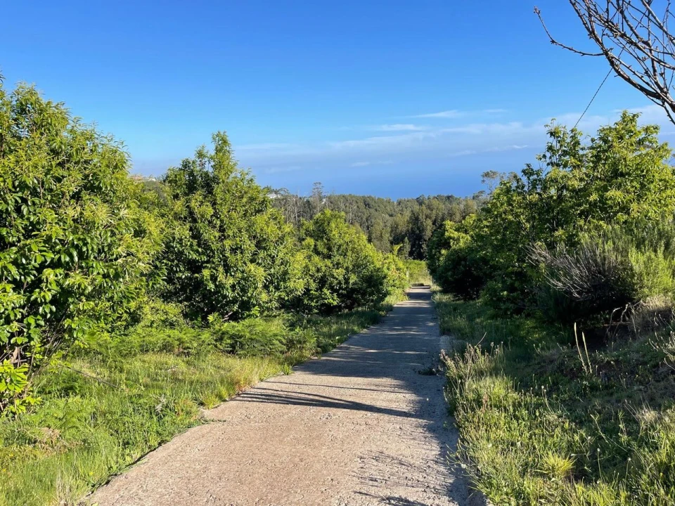 Terreno para Venda em Arco da Calheta Foto 1