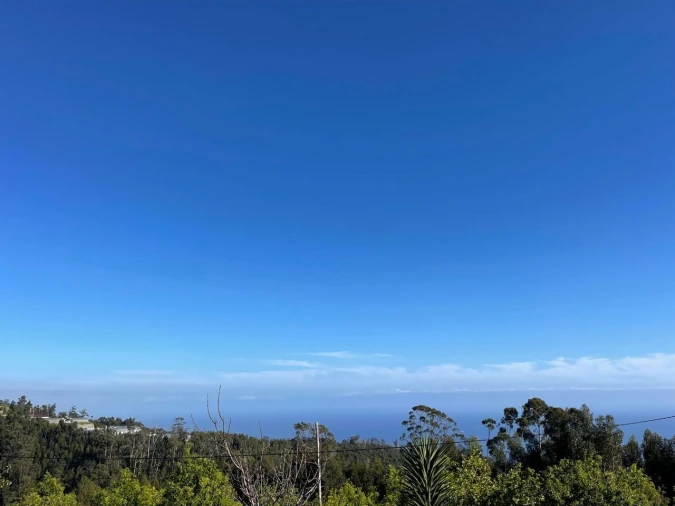 Terreno para Venda em Arco da Calheta Foto 4