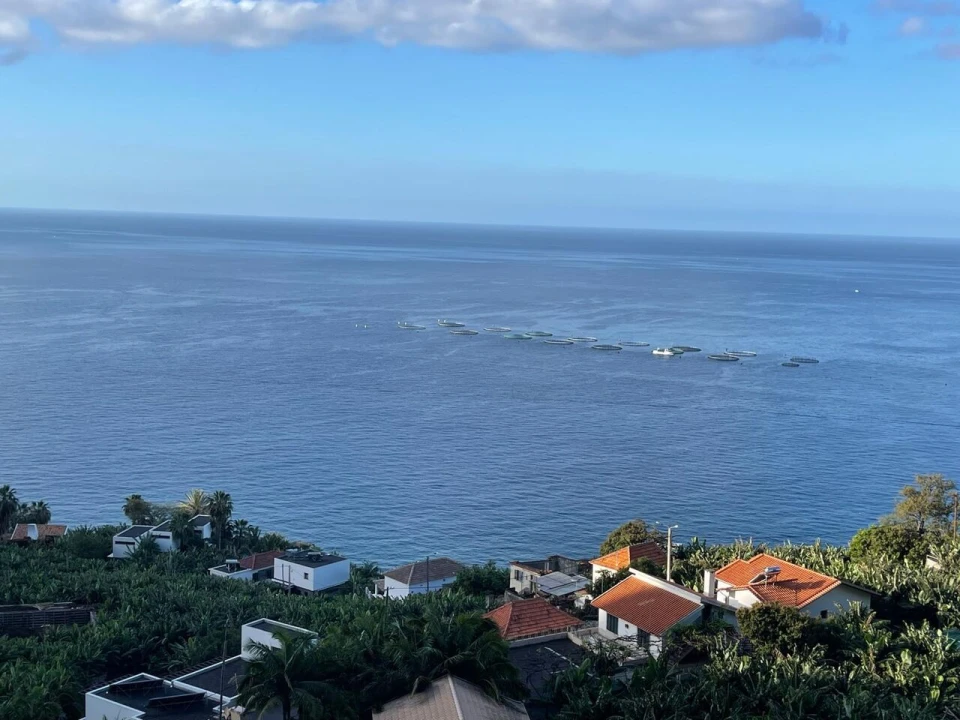 Terreno para Venda em Arco da Calheta Foto 2