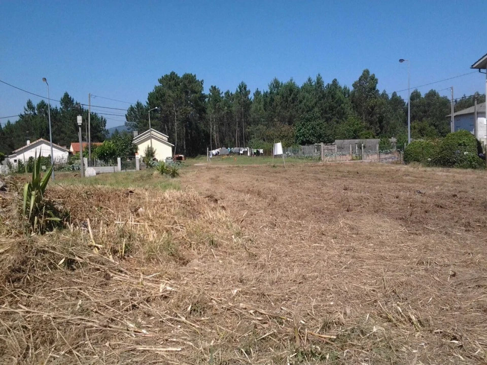 Terreno para Venda em São Pedro da Torre Foto 1
