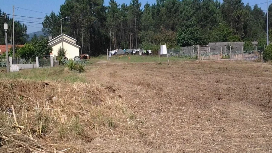 Terreno para Venda em São Pedro da Torre