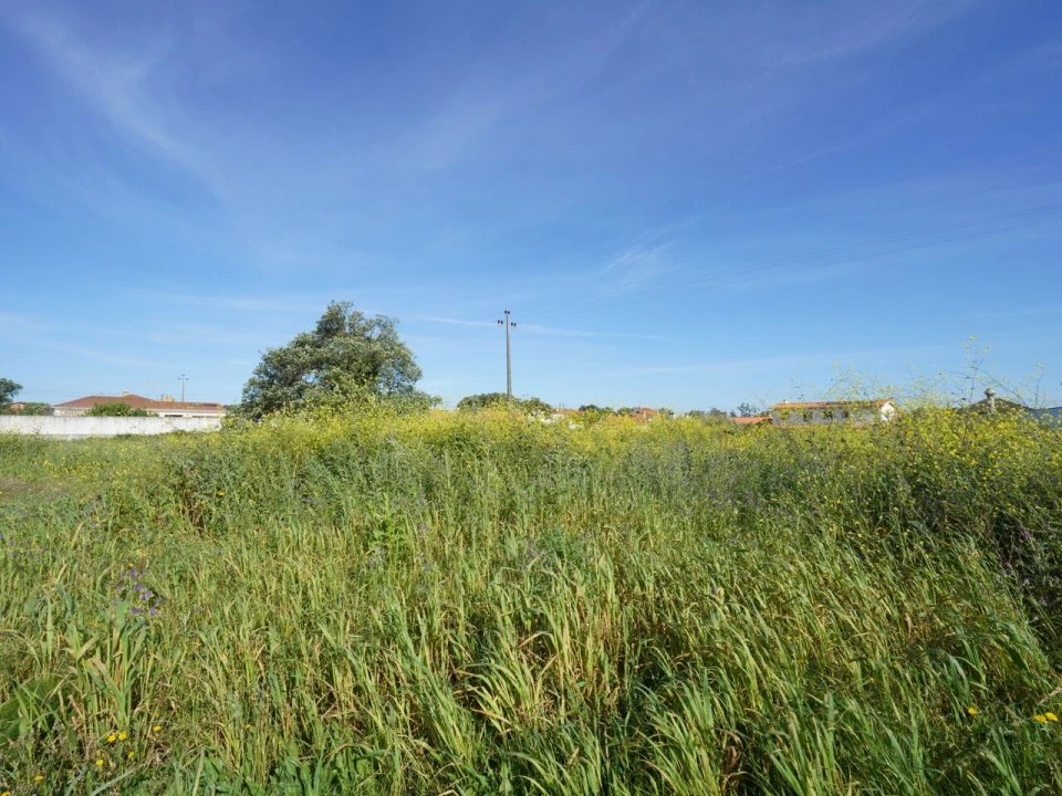 Terreno para Venda em Benedita Foto 2