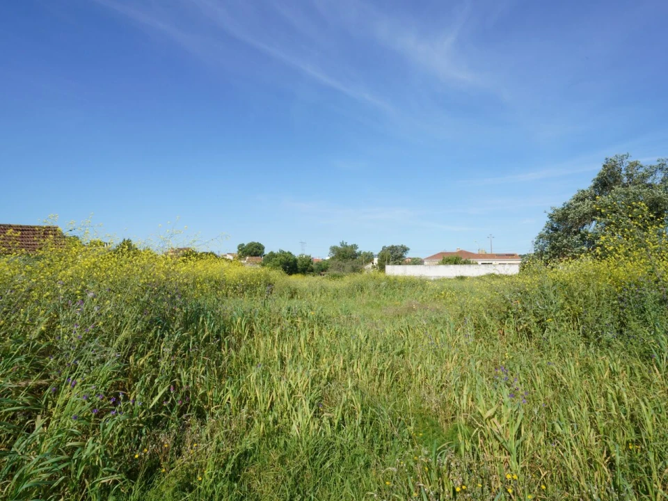 Terreno para Venda em Benedita Foto 3