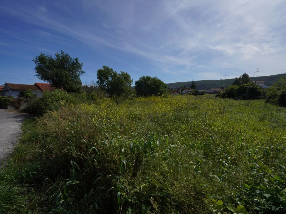 Terreno para Venda em Benedita Foto 8