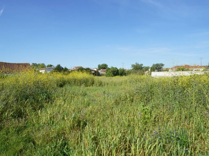Terreno para Venda em Benedita Foto 5