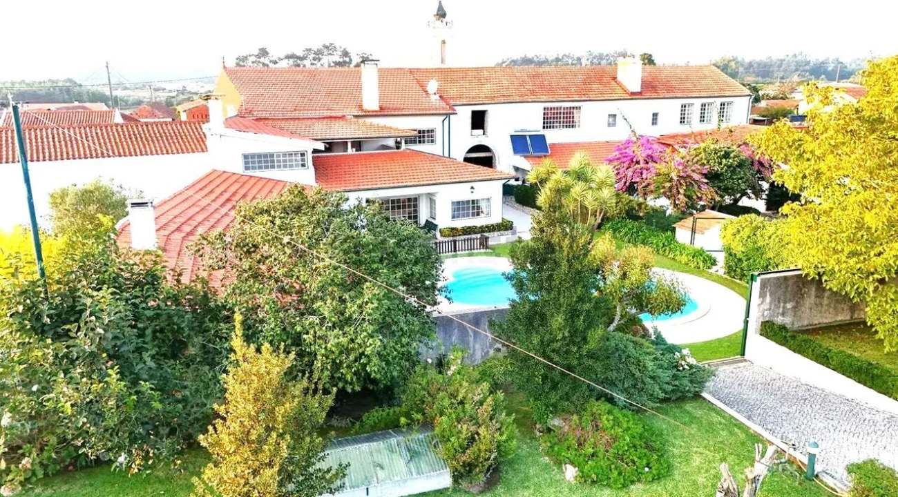 Quinta T10 para Venda em Louriçal Foto 2
