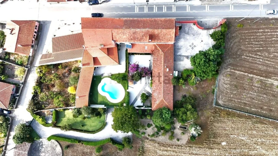 Quinta T10 para Venda em Louriçal Foto 3