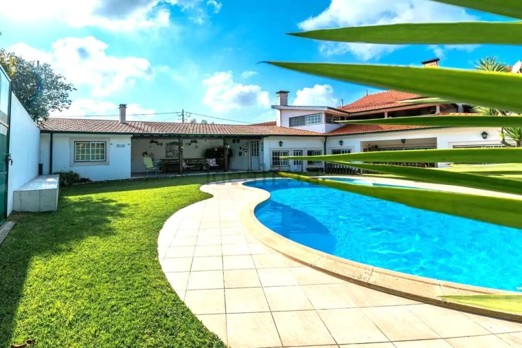 Quinta T10 para Venda em Louriçal Foto 5