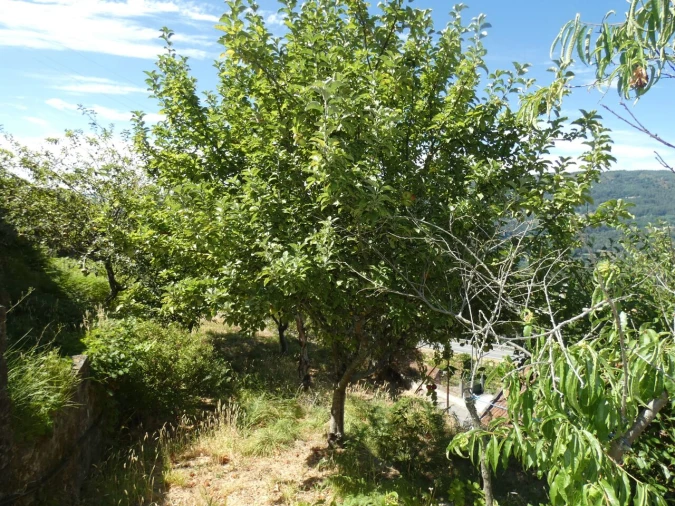 Moradia T5 para Venda em Cristoval Foto 14