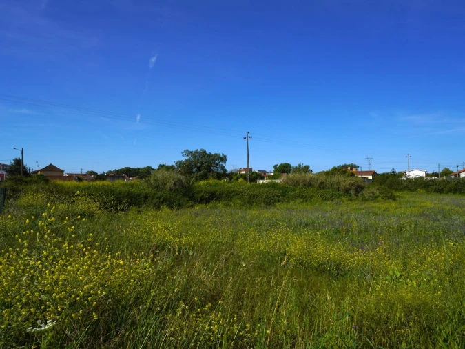 Terreno para Venda em Benedita Foto 3