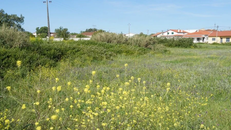 Terreno para Venda em Benedita