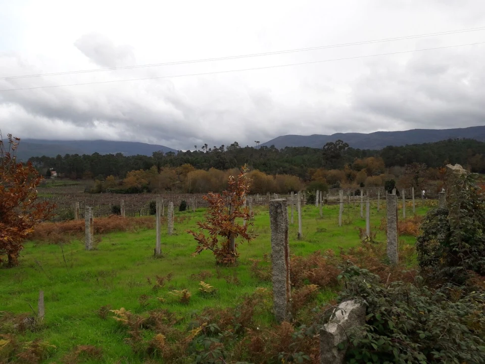 Terreno para Venda em Pias Foto 1