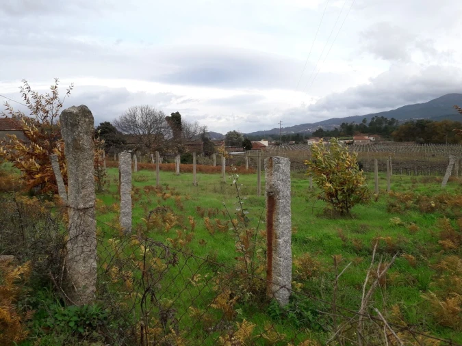 Terreno para Venda em Pias Foto 2