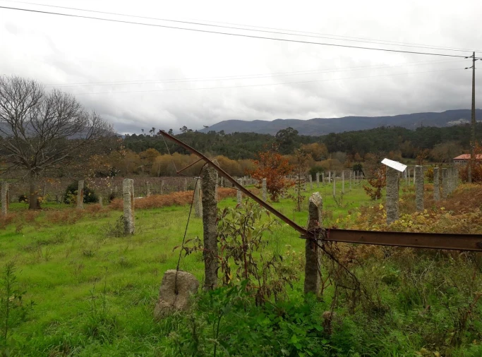 Terreno para Venda em Pias Foto 3