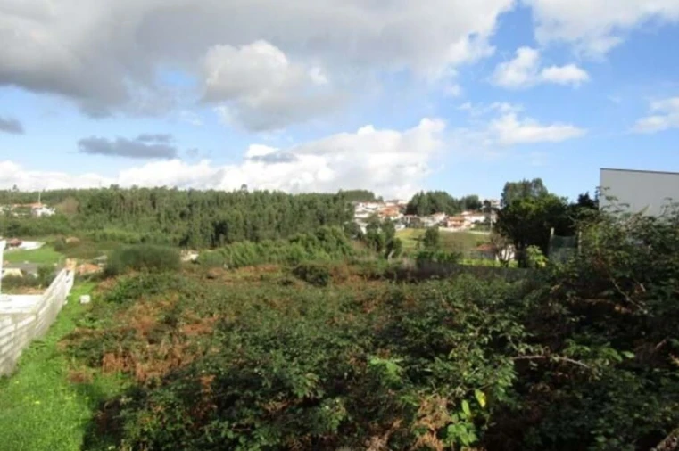 Terreno para Venda em Nogueira da Regedoura Foto 2