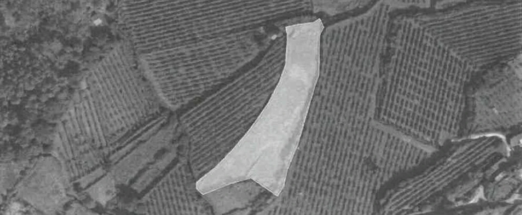 Terreno para Venda em Alvaredo Foto 1