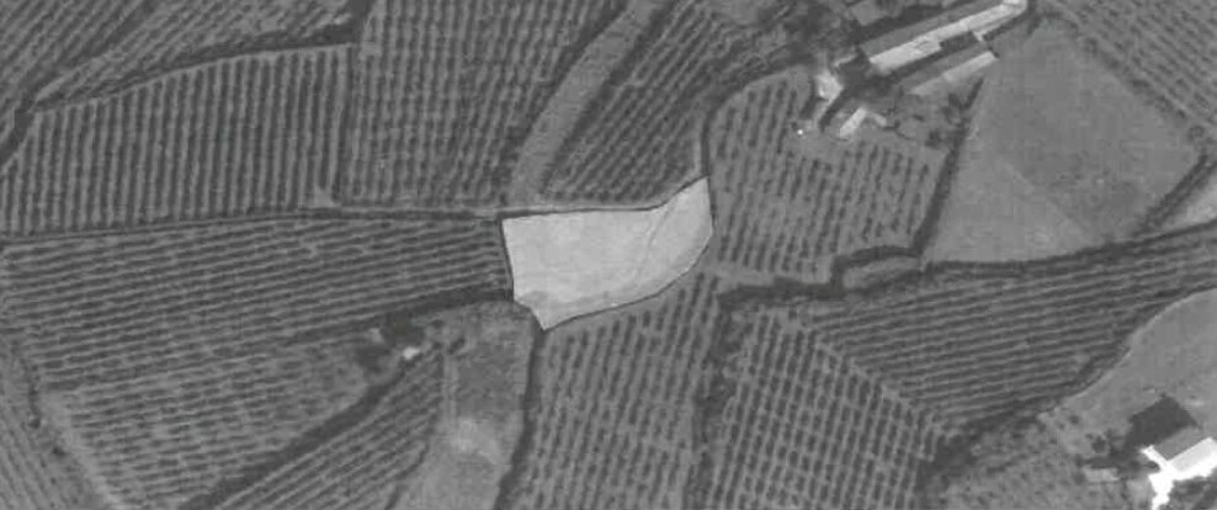 Terreno para Venda em Alvaredo Foto 1