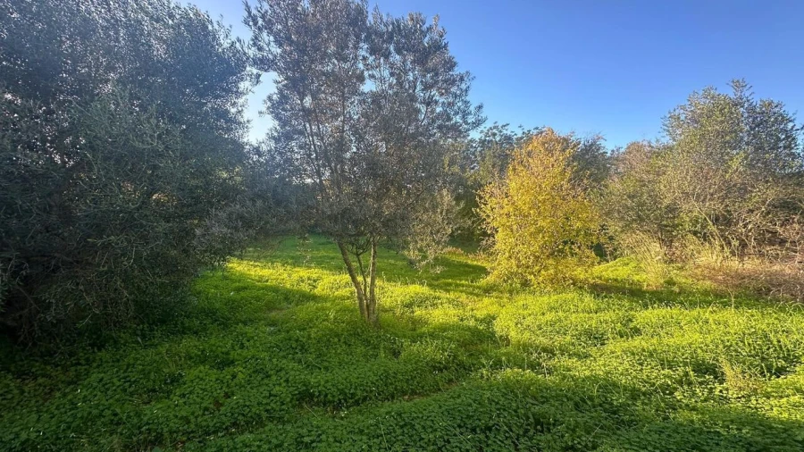 Terreno para Venda em Boliqueime Foto 7