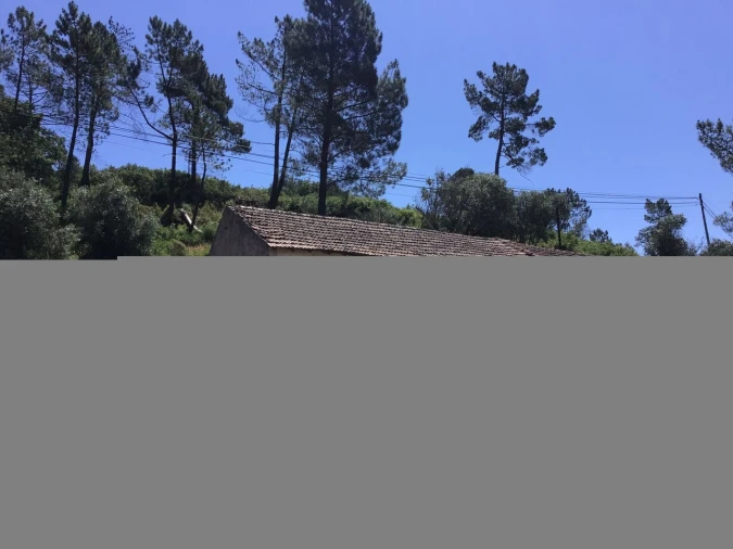 Terreno para Venda em Carregueiros Foto 8