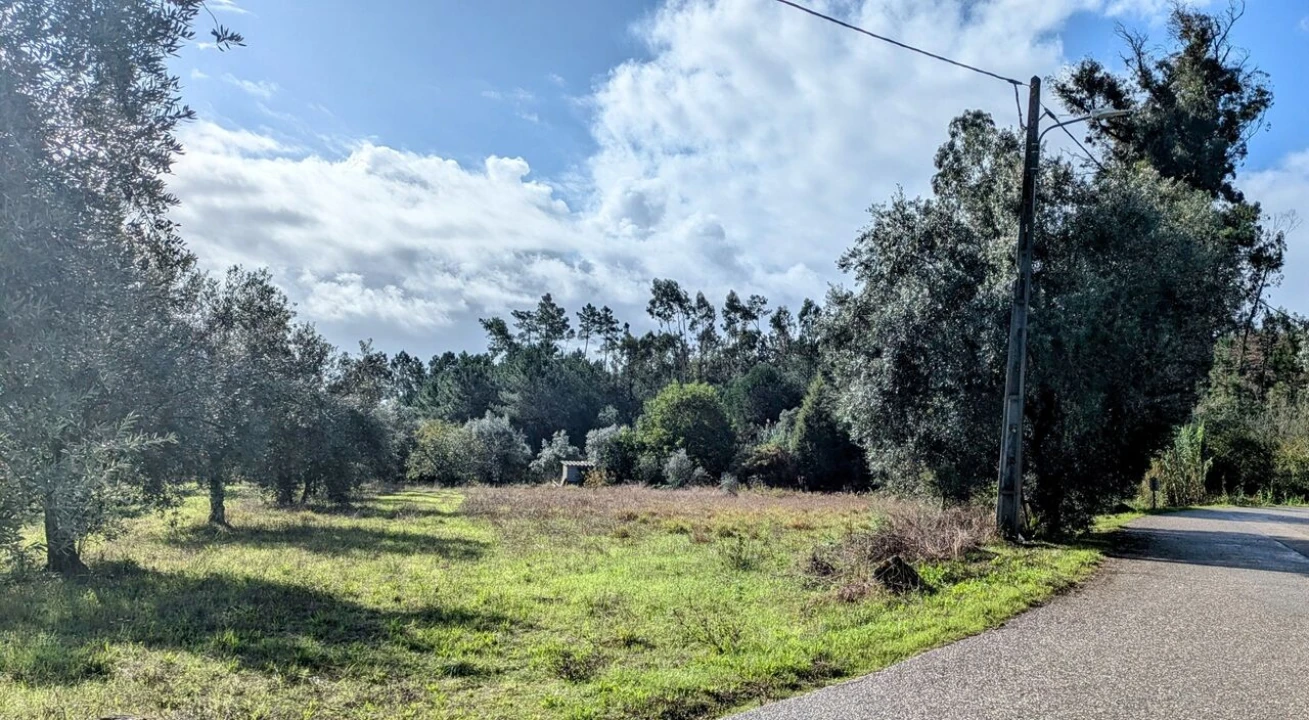 Terreno para Venda em Pombal Foto 2