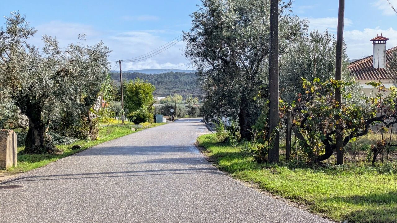 Terreno para Venda em Pombal Foto 4