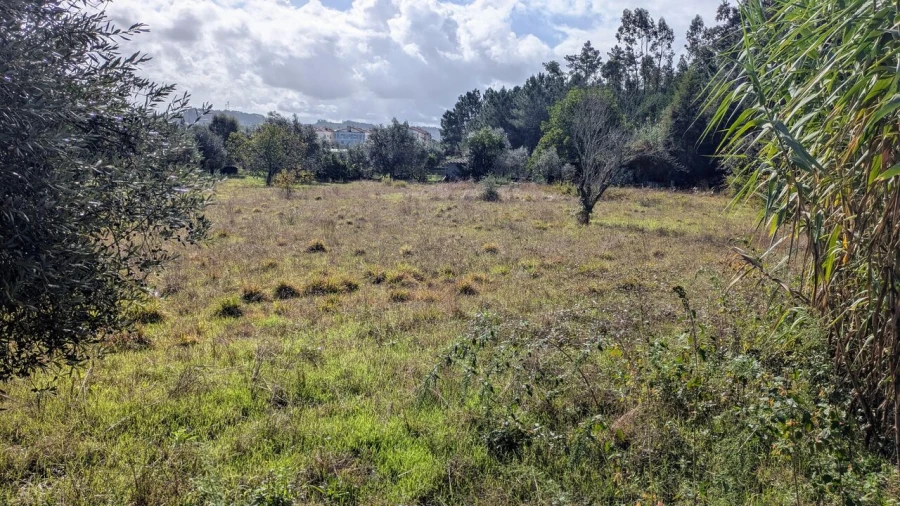 Terreno para Venda em Pombal Foto 3
