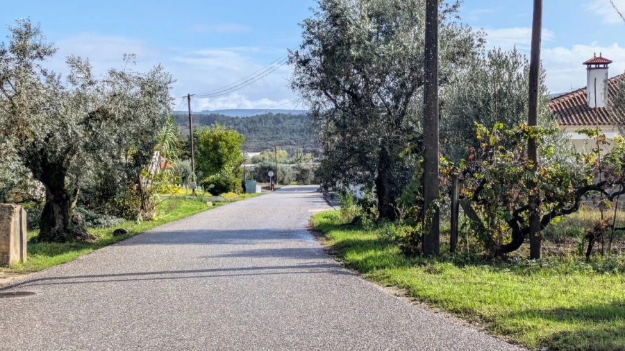 Terreno para Venda em Pombal Foto 4