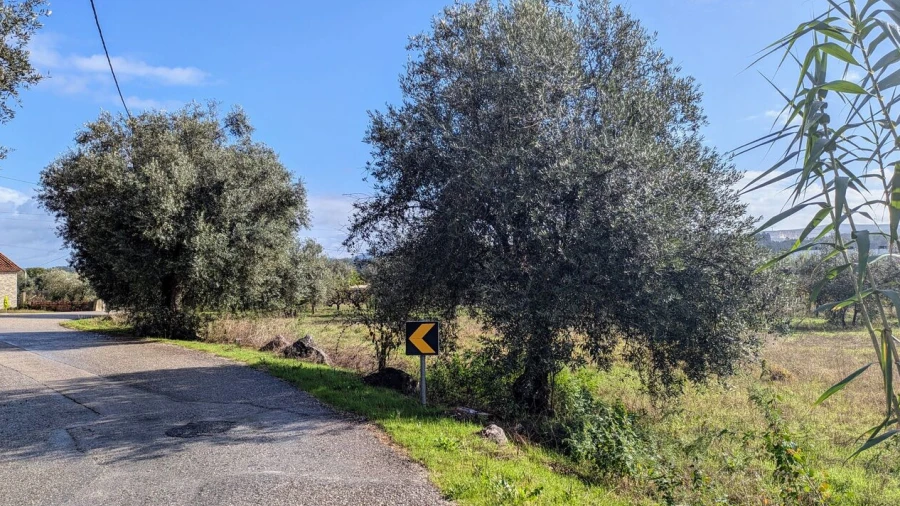 Terreno para Venda em Pombal