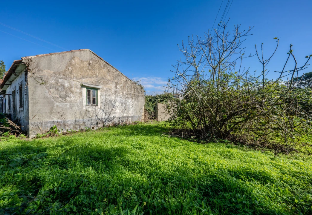 Moradia T4 para Venda em Maceira Foto 21