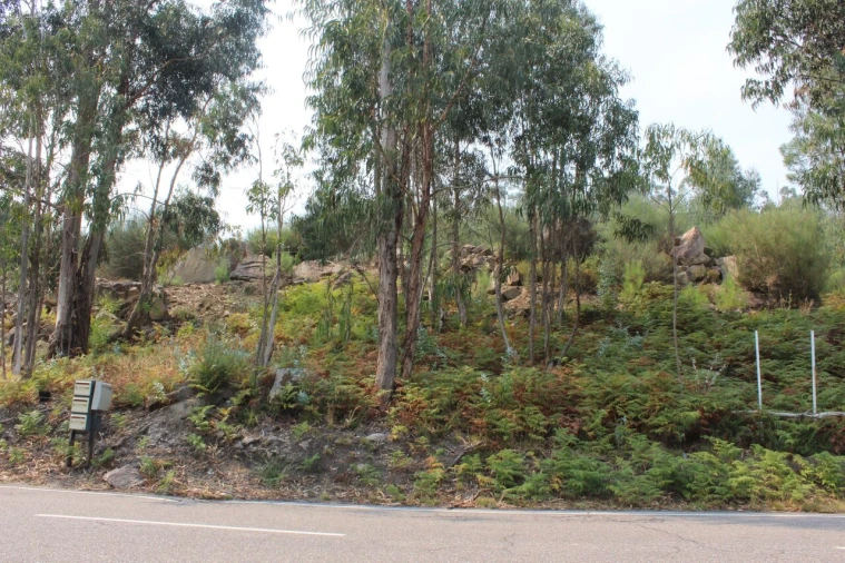 Terreno para Venda em Barbeita Foto 2