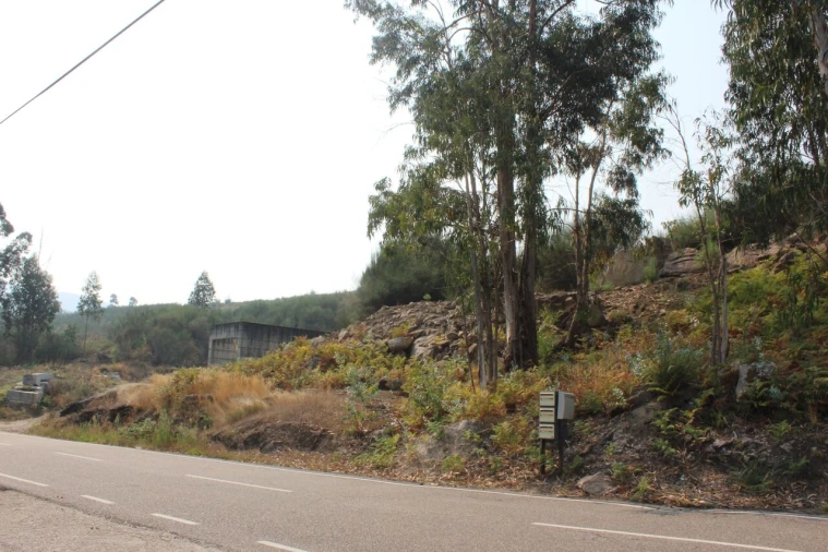 Terreno para Venda em Barbeita Foto 4
