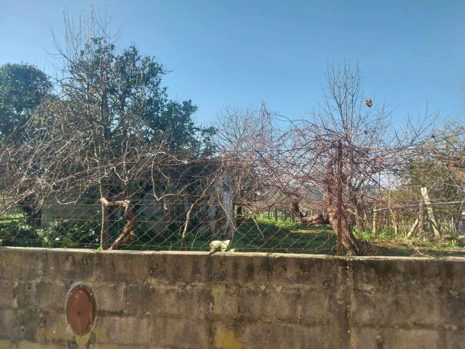 Terreno para Venda em Bela Foto 2