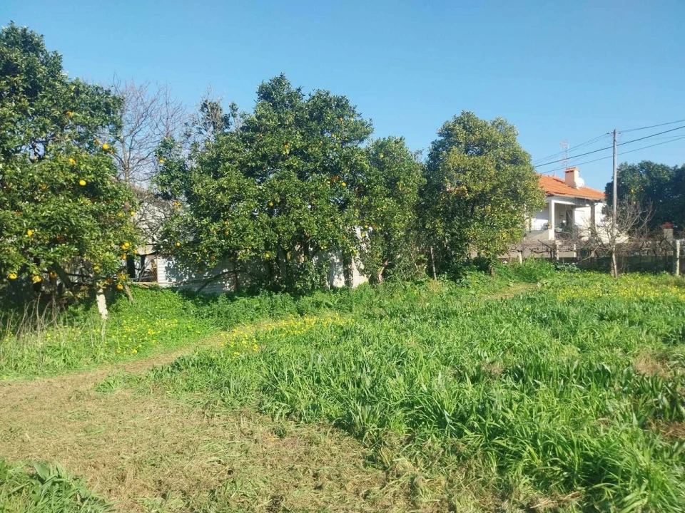 Terreno para Venda em Bela Foto 3