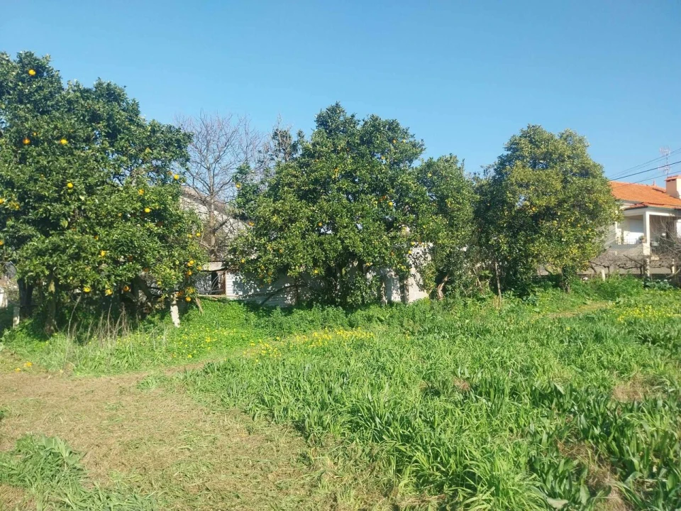 Terreno para Venda em Bela Foto 6