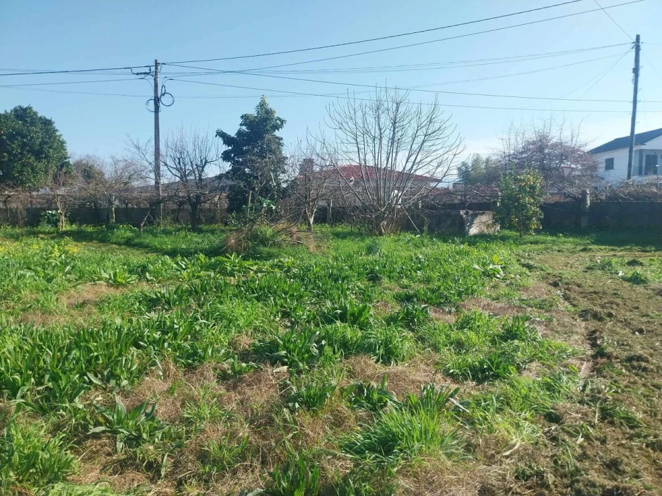 Terreno para Venda em Bela Foto 10