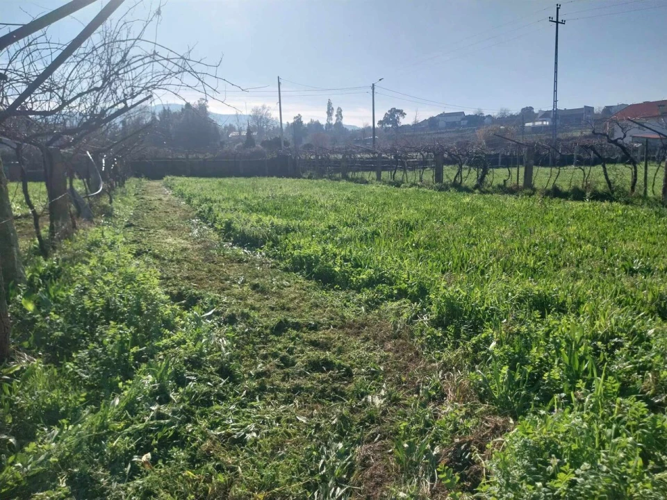 Terreno para Venda em Bela Foto 11