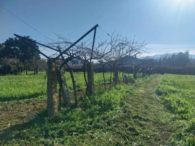 Terreno para Venda em Bela Foto 4