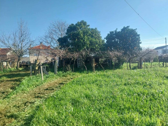 Terreno para Venda em Bela Foto 5