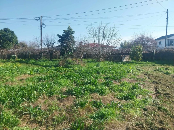 Terreno para Venda em Bela Foto 10