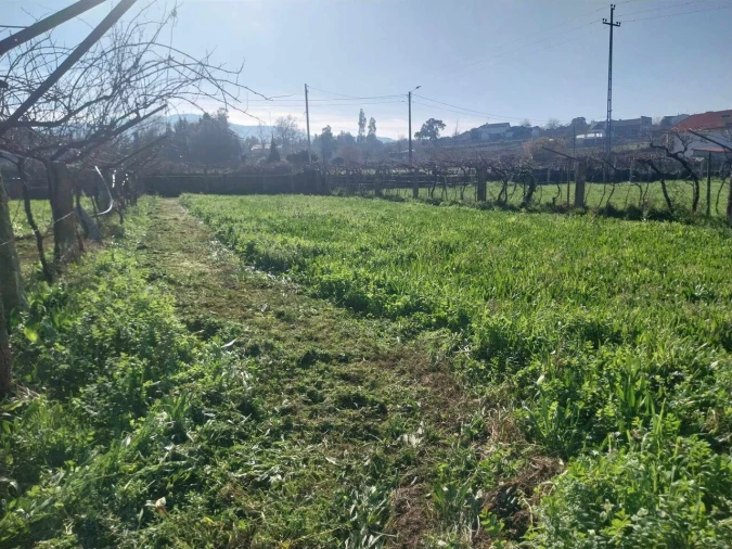 Terreno para Venda em Bela Foto 11