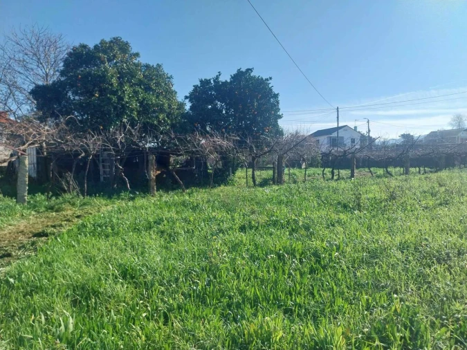 Terreno para Venda em Bela Foto 14
