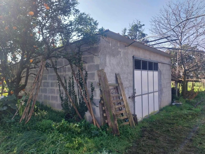 Terreno para Venda em Bela Foto 17