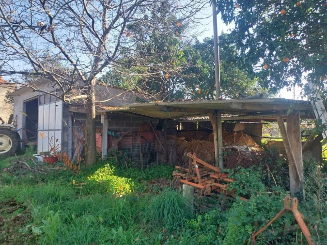 Terreno para Venda em Bela Foto 20