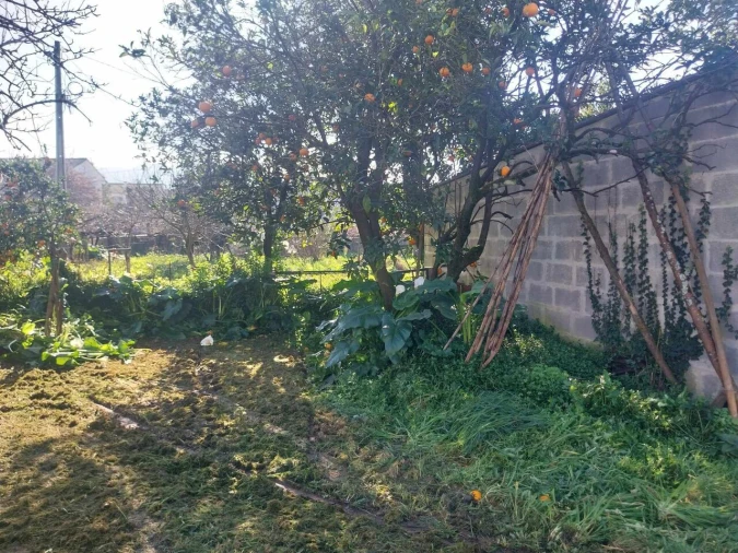 Terreno para Venda em Bela Foto 21