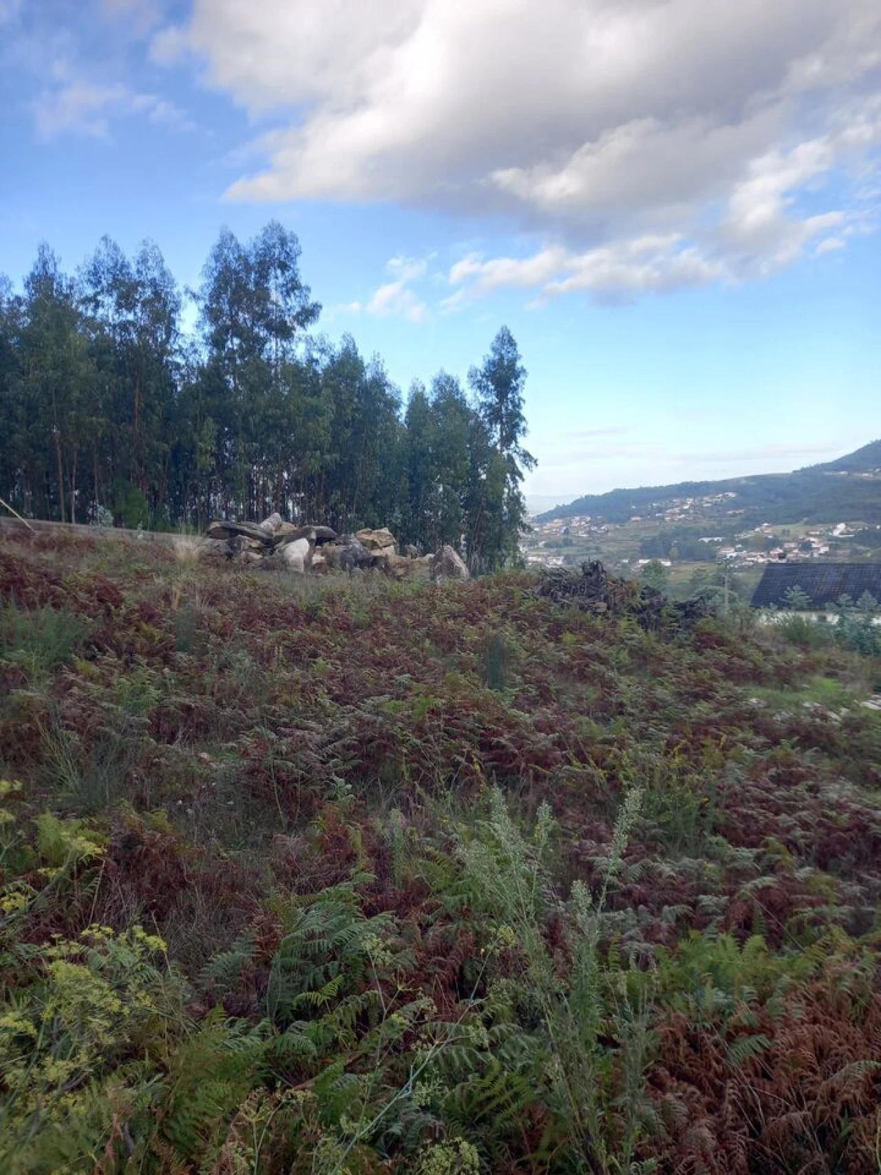Terreno para Venda em Barbeita Foto 2