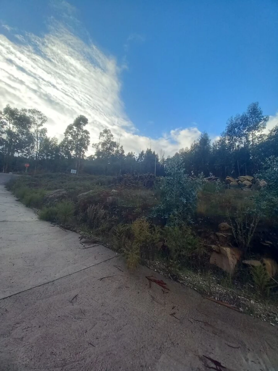 Terreno para Venda em Barbeita Foto 6