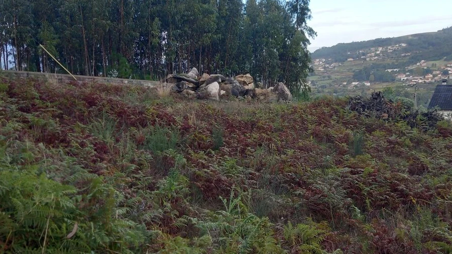 Terreno para Venda em Barbeita