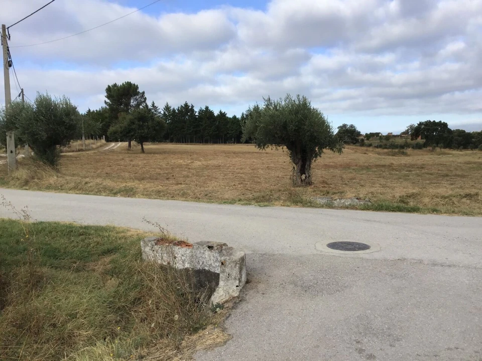 Terreno para Venda em Paialvo Foto 2