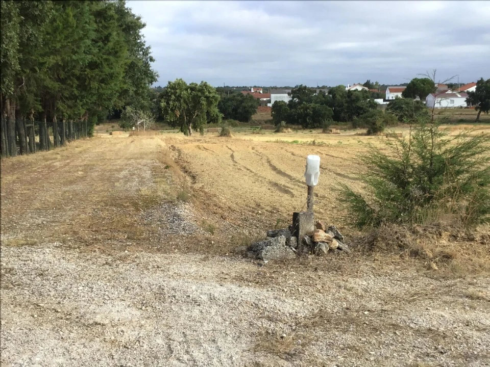 Terreno para Venda em Paialvo Foto 4